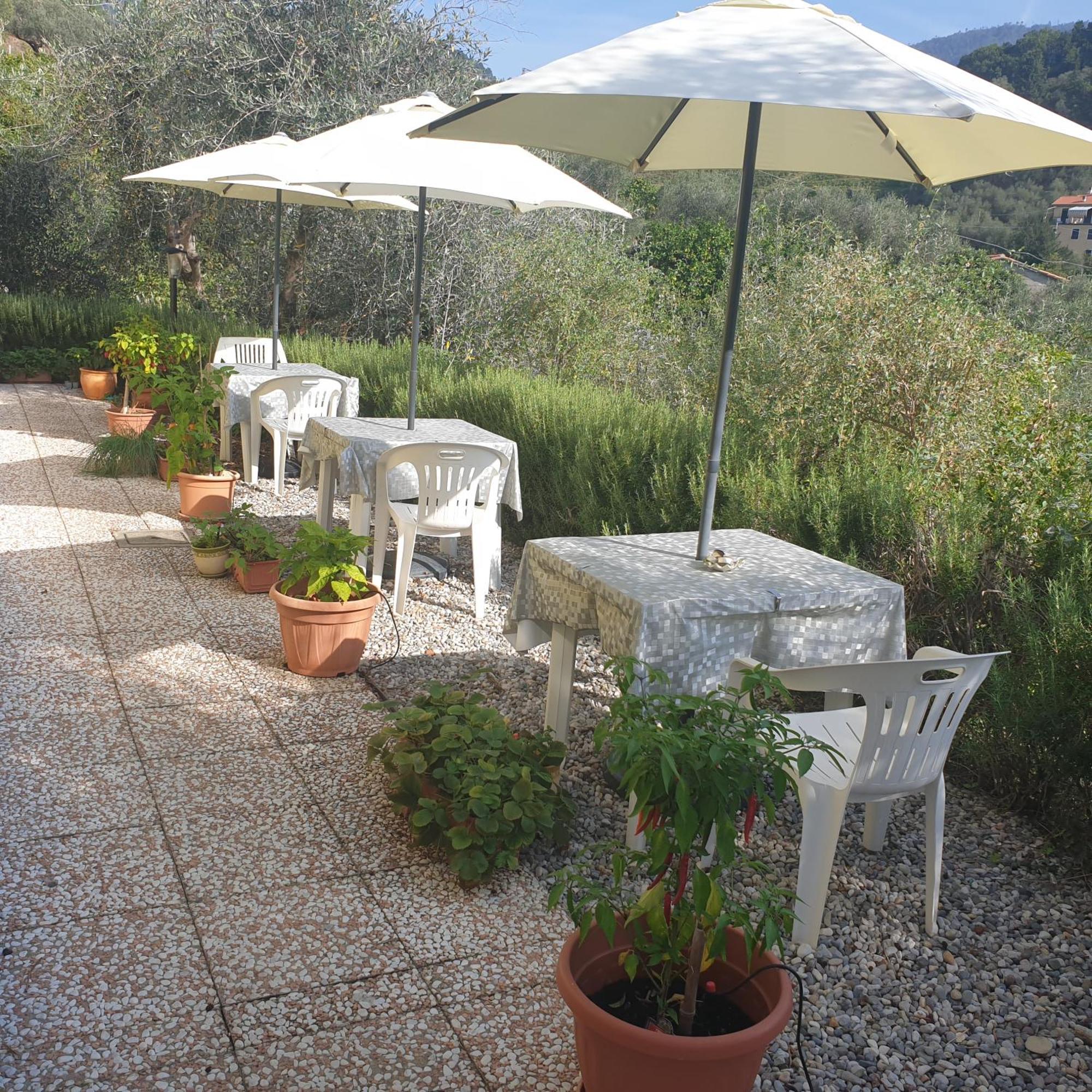 Agriturismo La Collina Verde Levanto Exterior photo