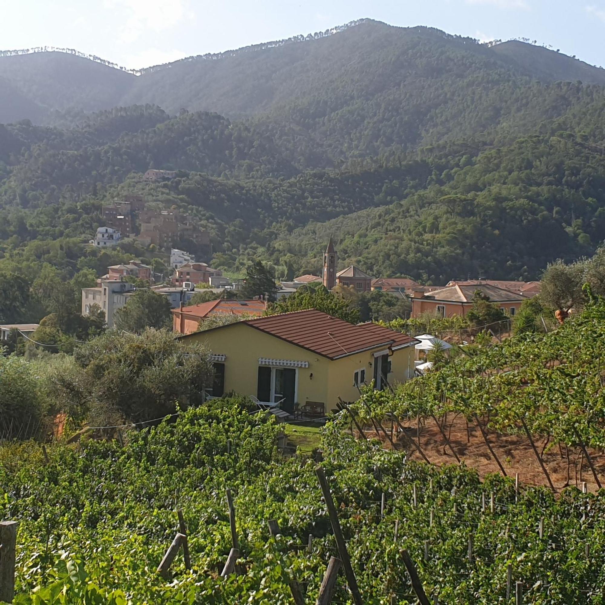 Agriturismo La Collina Verde Levanto Exterior photo